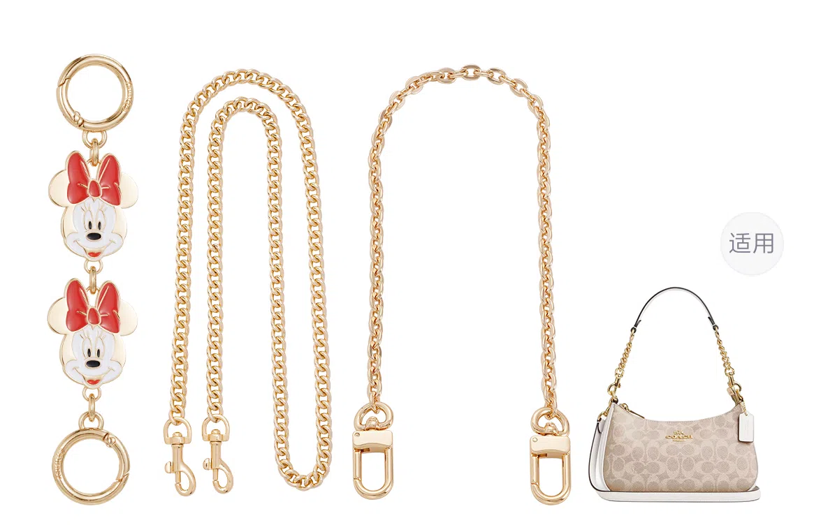 Disney COACH Teri 24