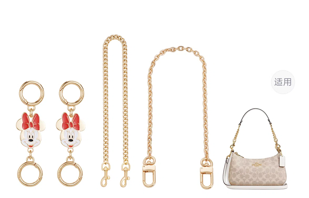 Disney COACH Teri 24