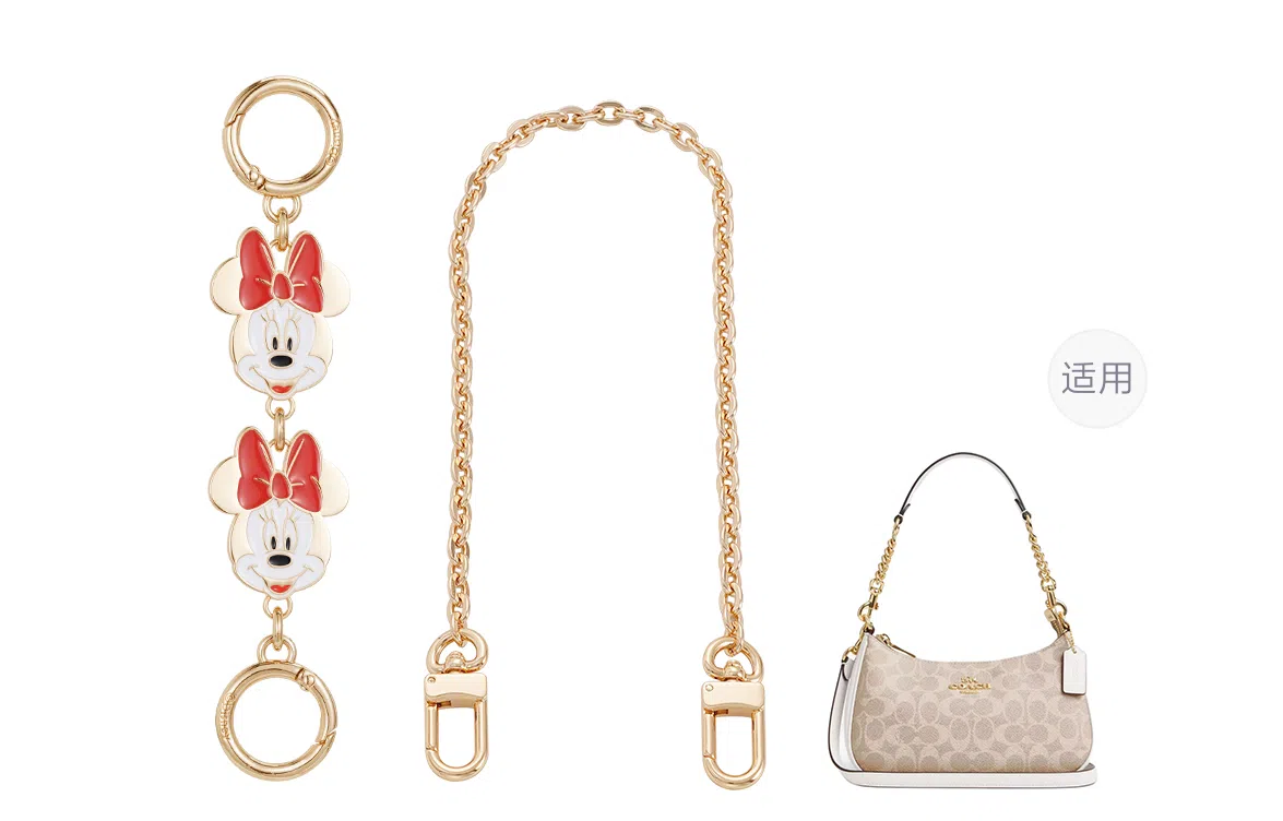 Disney COACH Teri 24