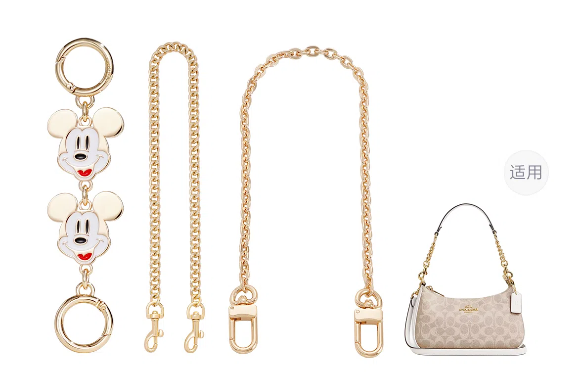 Disney COACH Teri 24