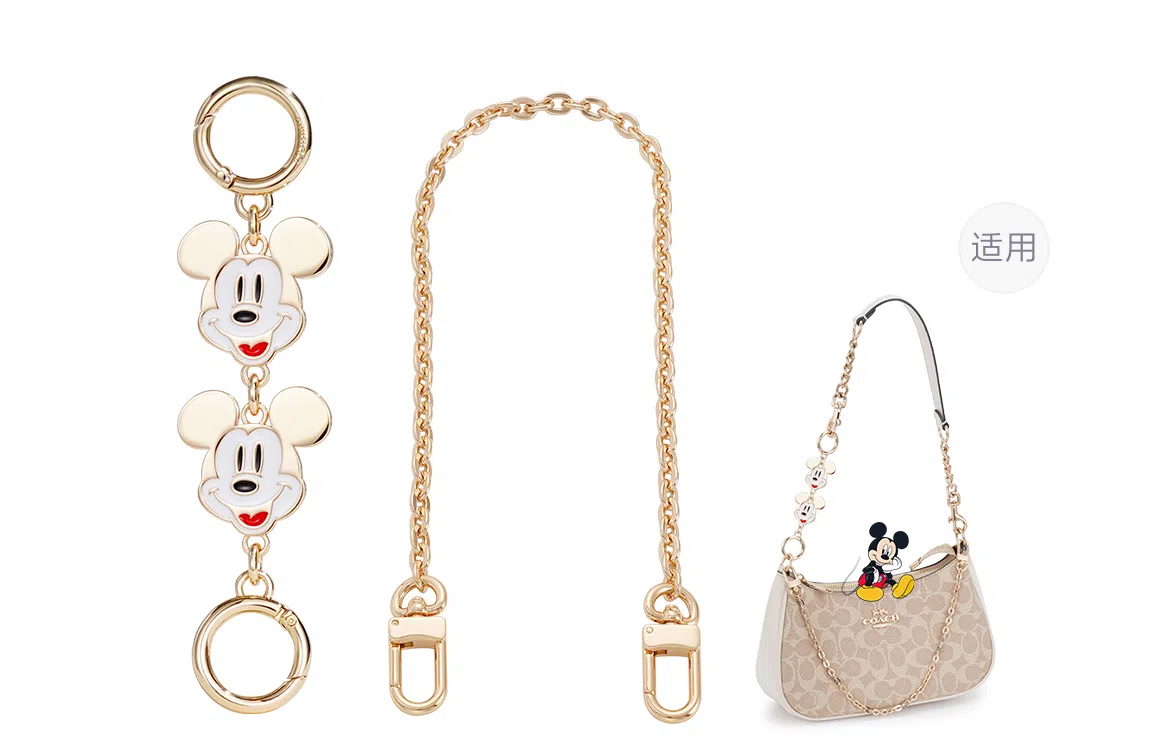 Disney COACH Teri 24