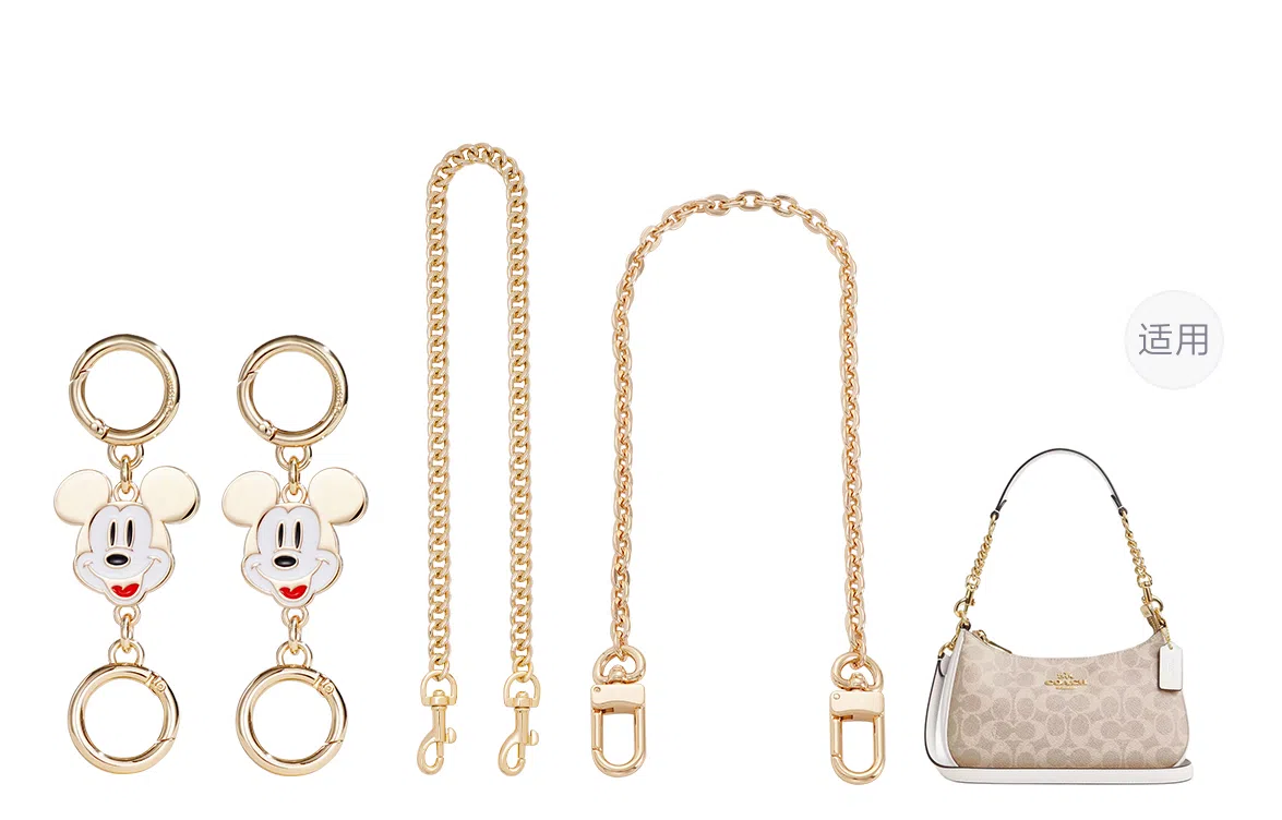 Disney COACH Teri 24