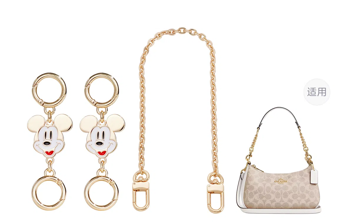 Disney COACH Teri 24