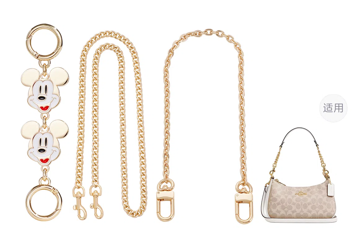 Disney COACH Teri 24