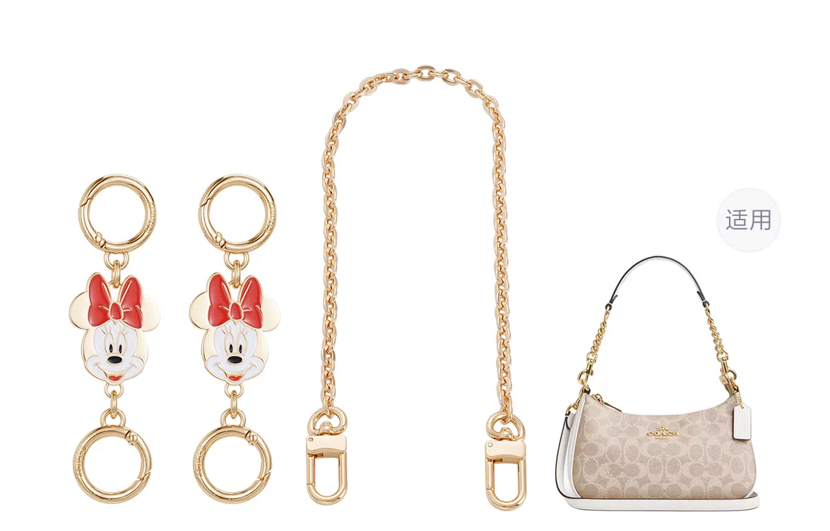 Disney COACH Teri 24