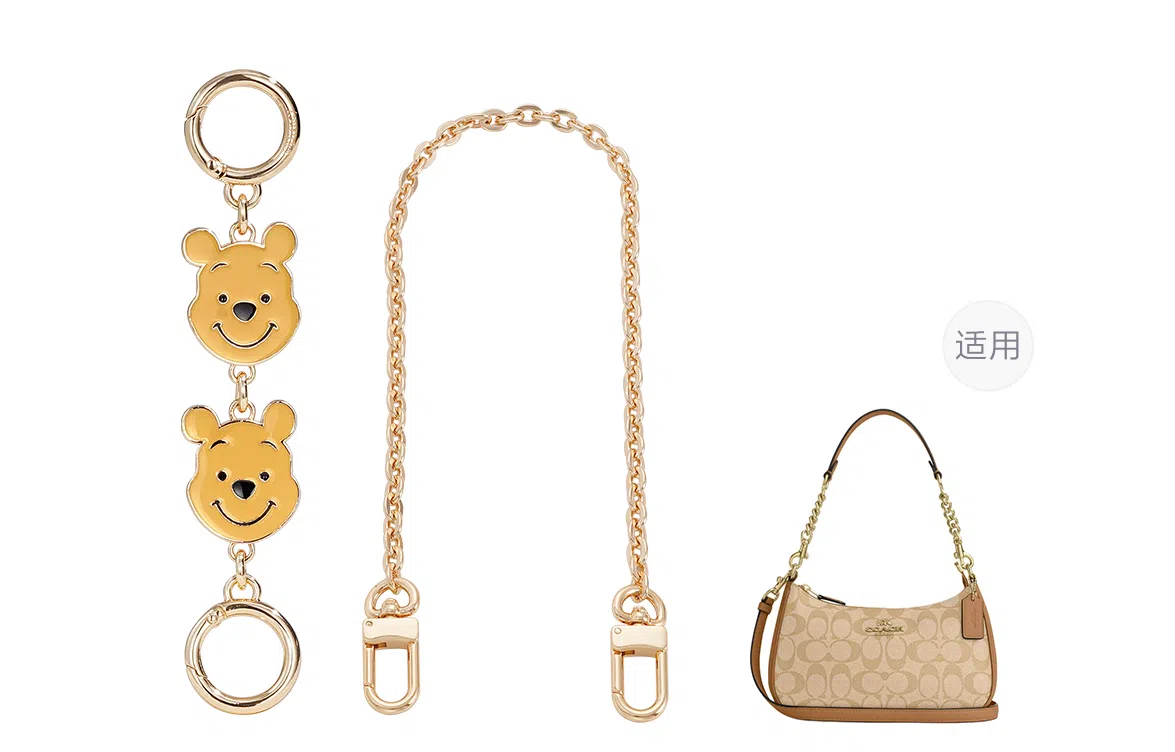 Disney COACH Teri 24diy