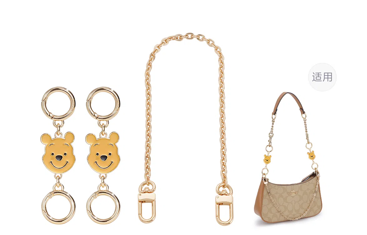 Disney COACH Teri 24diy