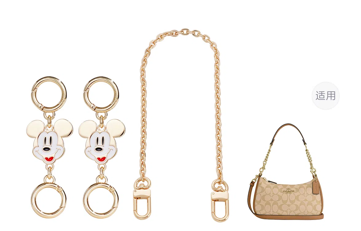 Disney COACH Teri 24diy