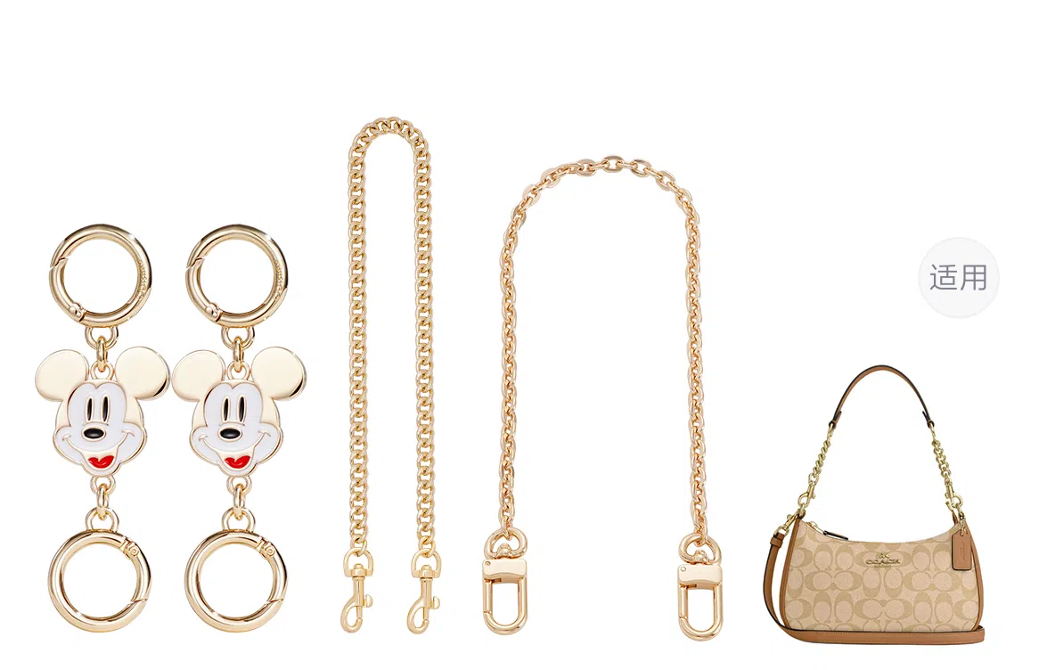 Disney COACH Teri 24diy