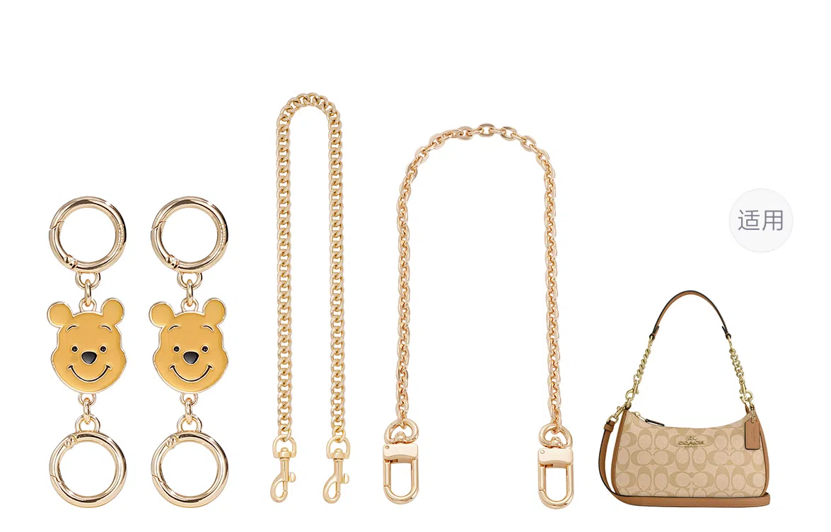 Disney COACH Teri 24diy