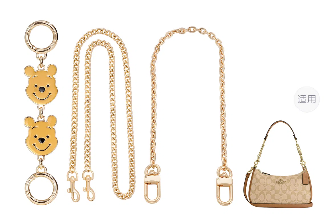 Disney COACH Teri 24diy