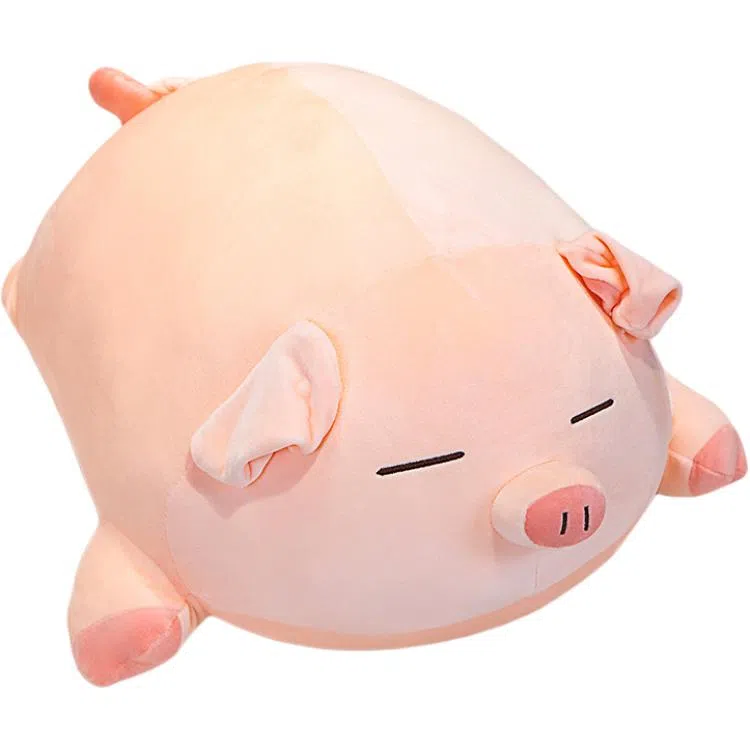 40cm50cm60cm80cm100cm