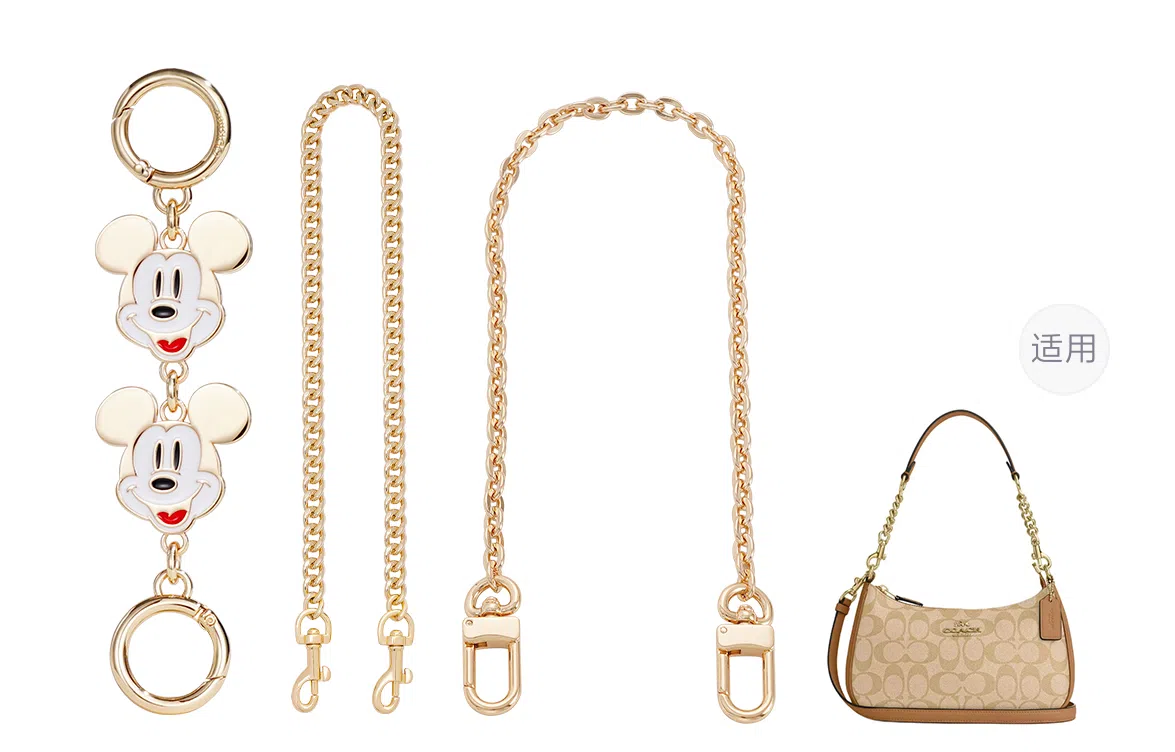 Disney COACH Teri 24diy