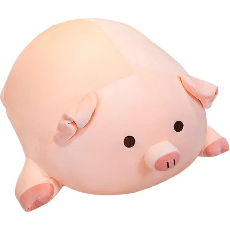 40cm50cm60cm80cm100cm