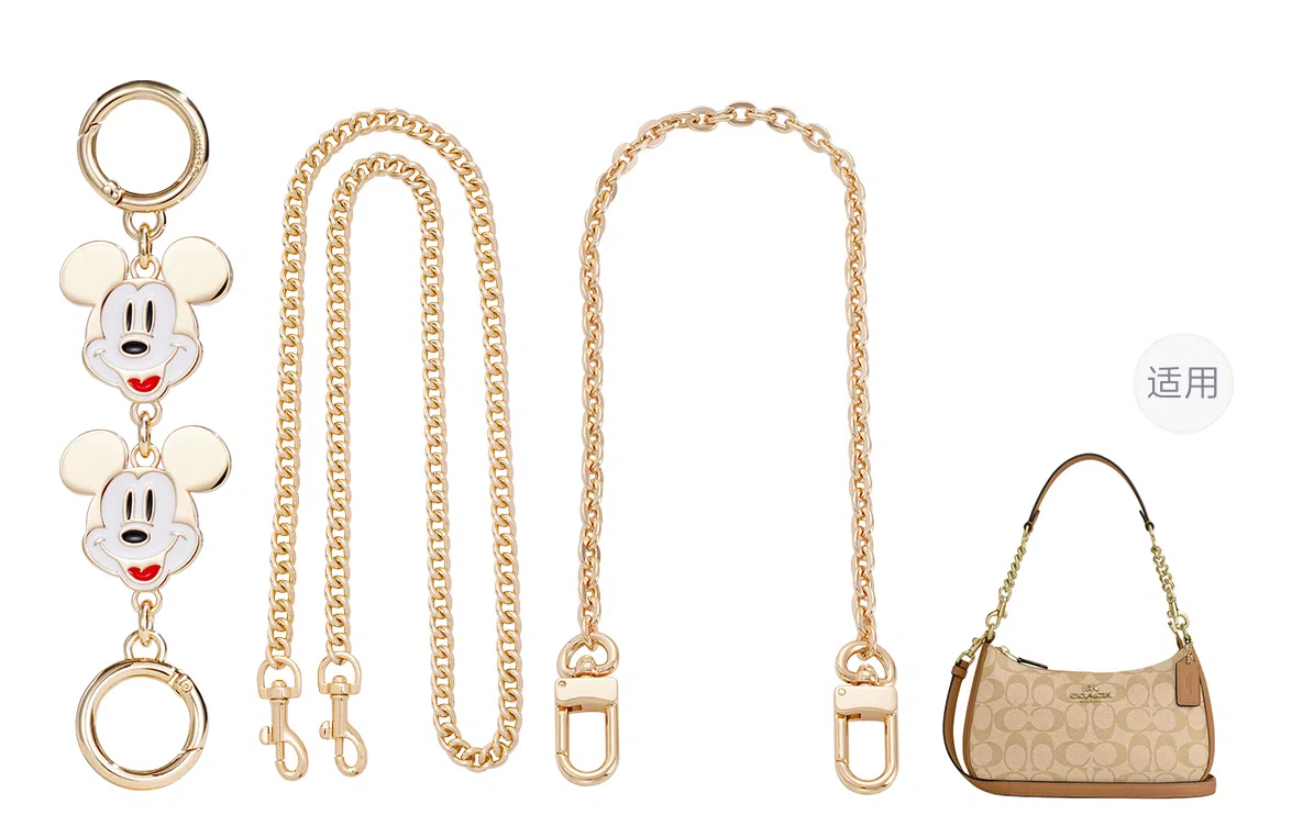 Disney COACH Teri 24diy