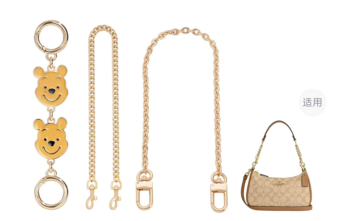 Disney COACH Teri 24diy