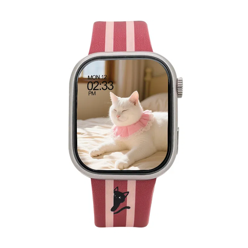 SAE app 4GWiFiNFCGPS