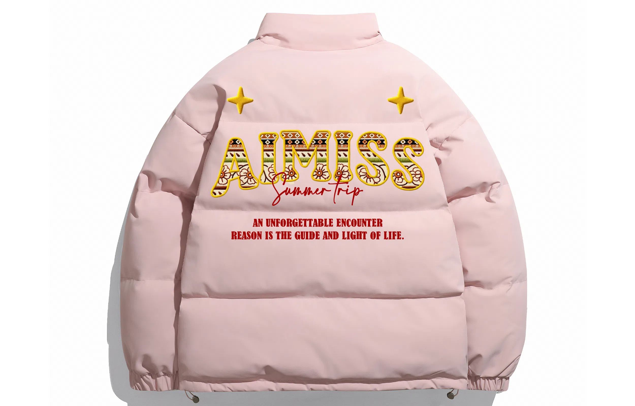 AIMISS logo