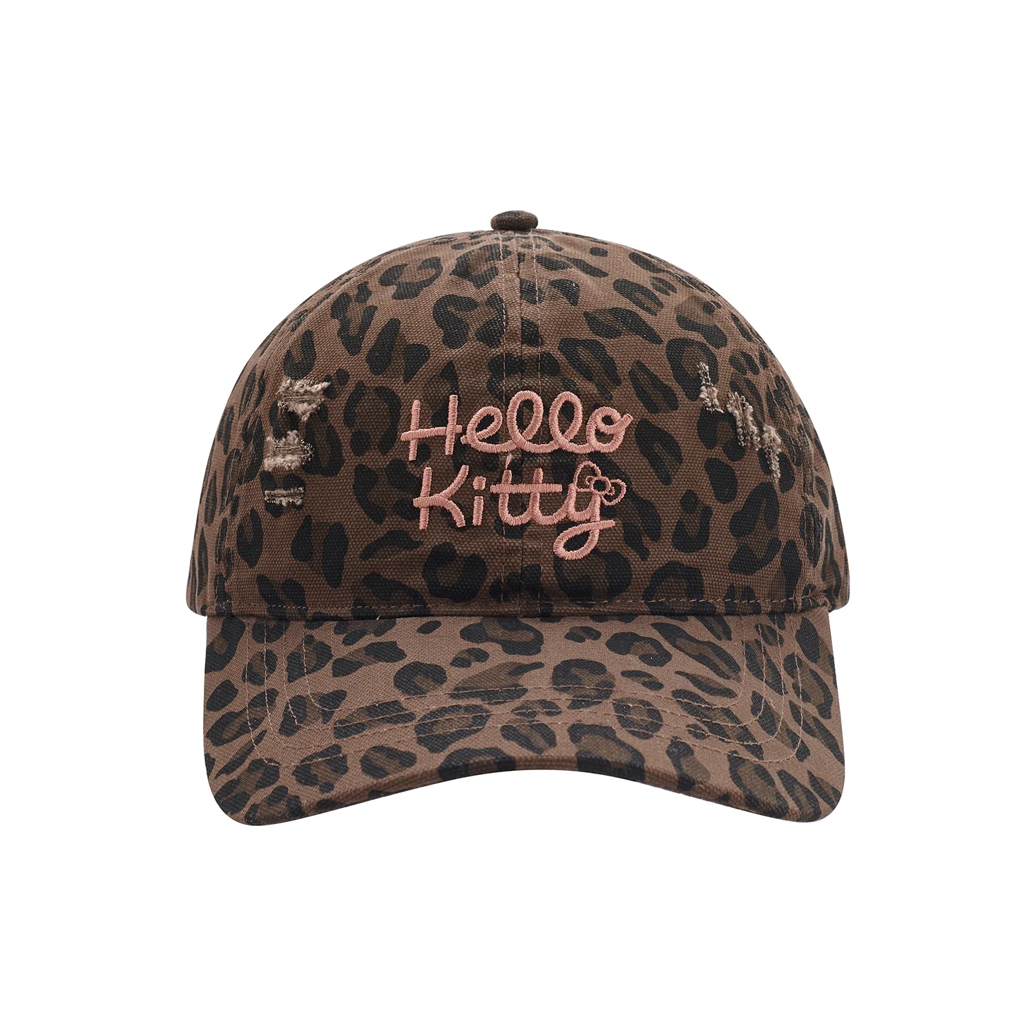 SanrioxHello Kitty Kitty