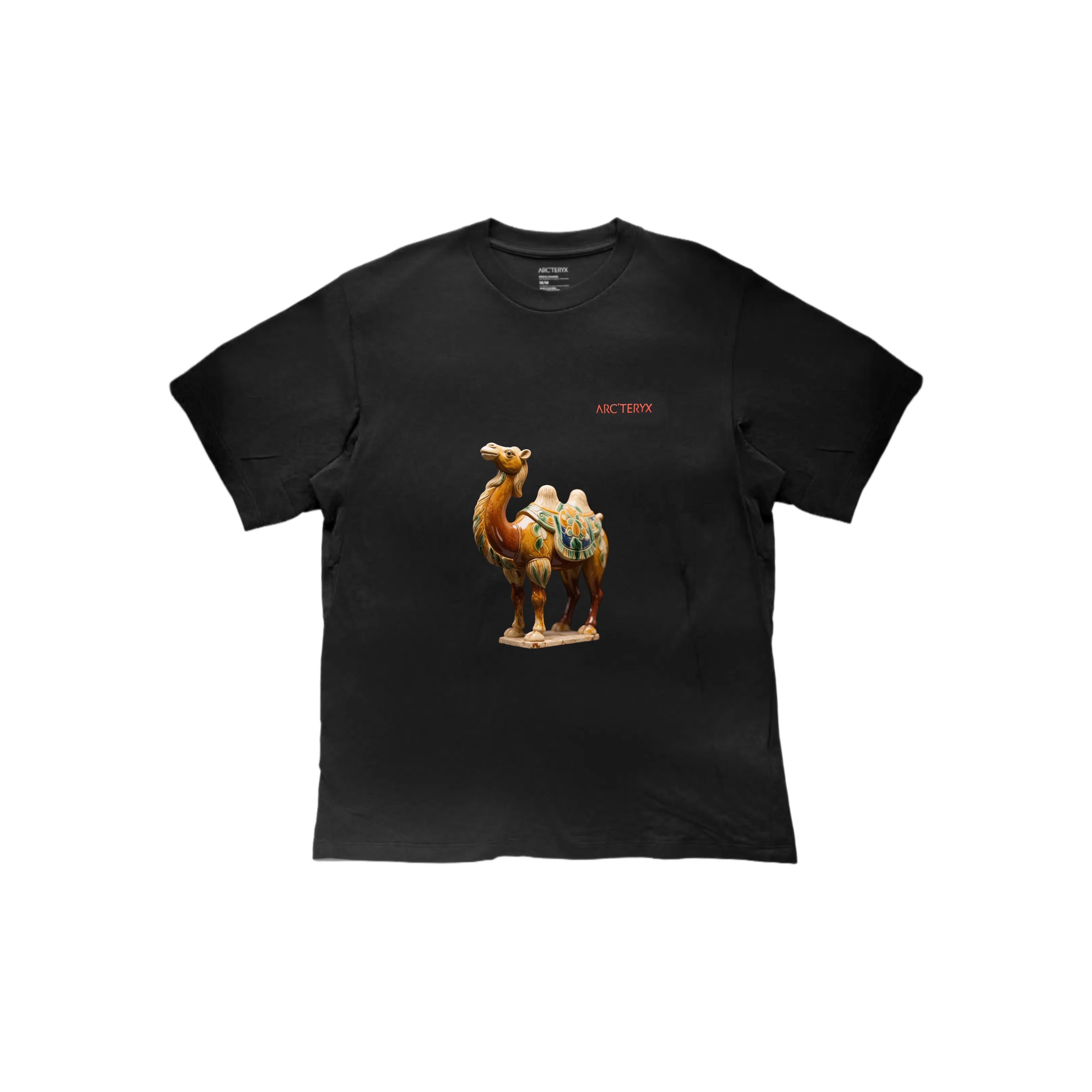 Arcteryx KRAGG SL LogoT