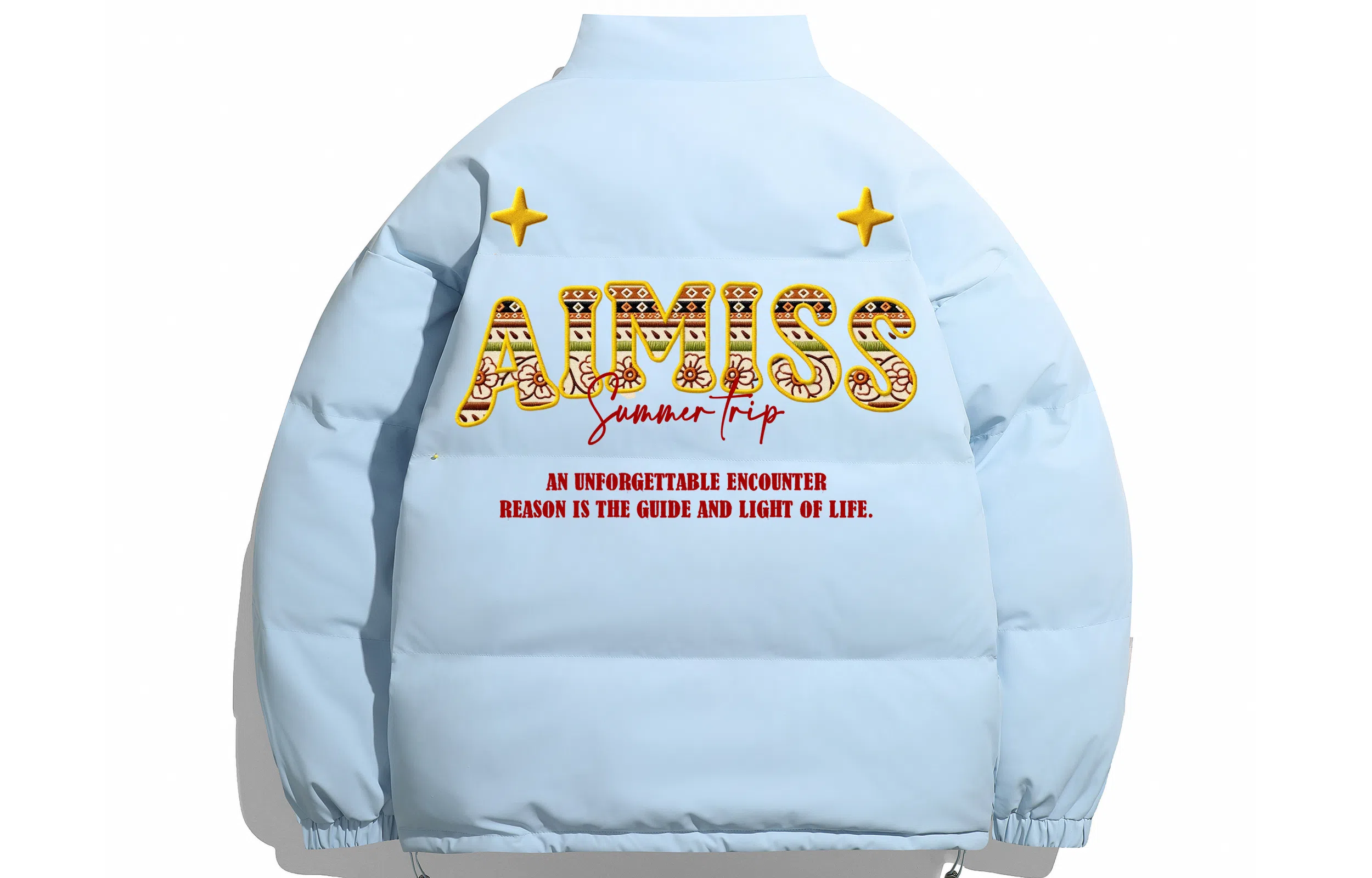 AIMISS logo