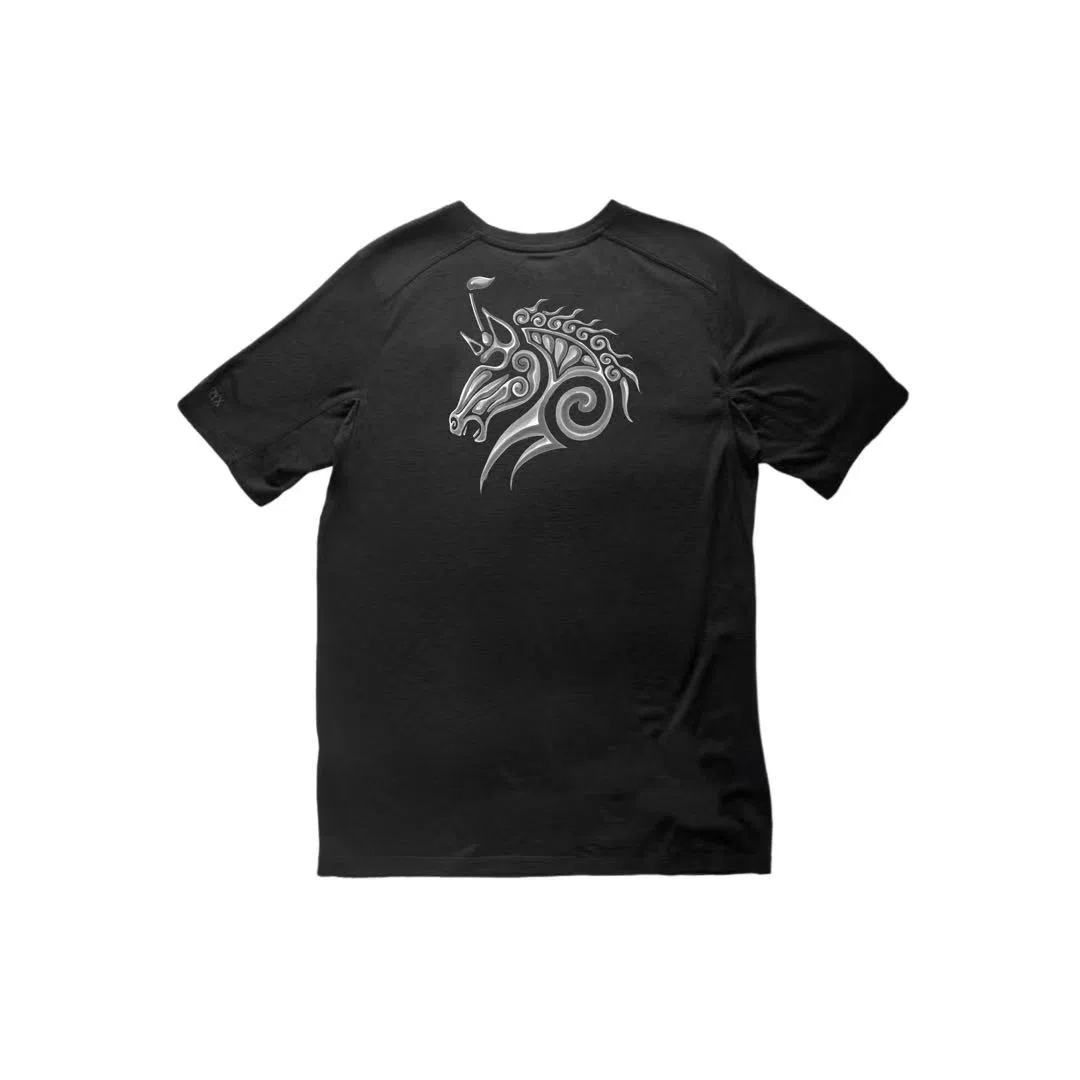 Arcteryx Ionia Merino Wool logoT