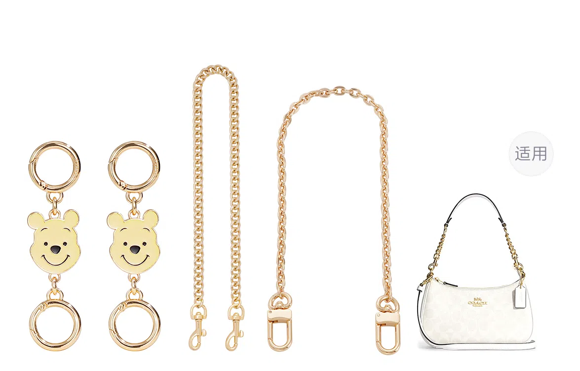 Disney COACH Teri 25