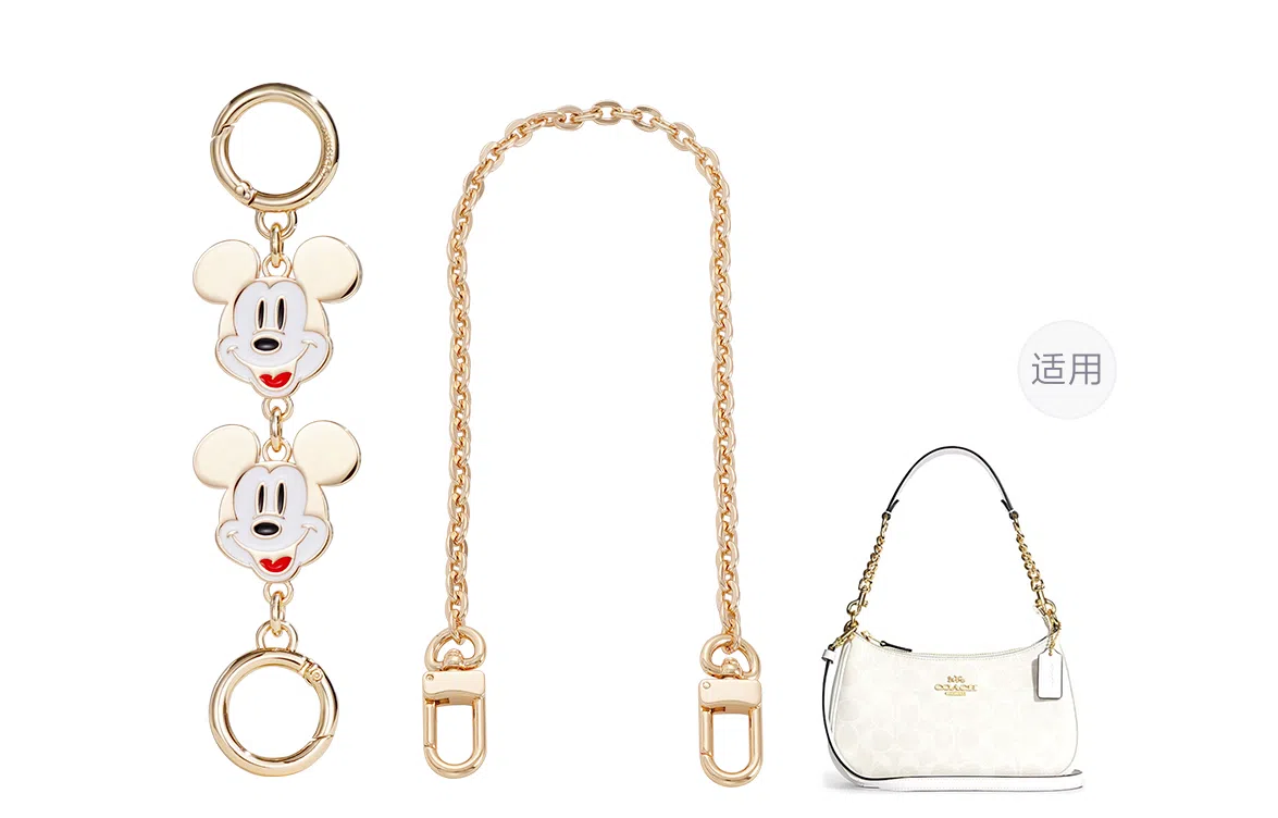 Disney COACH Teri 25