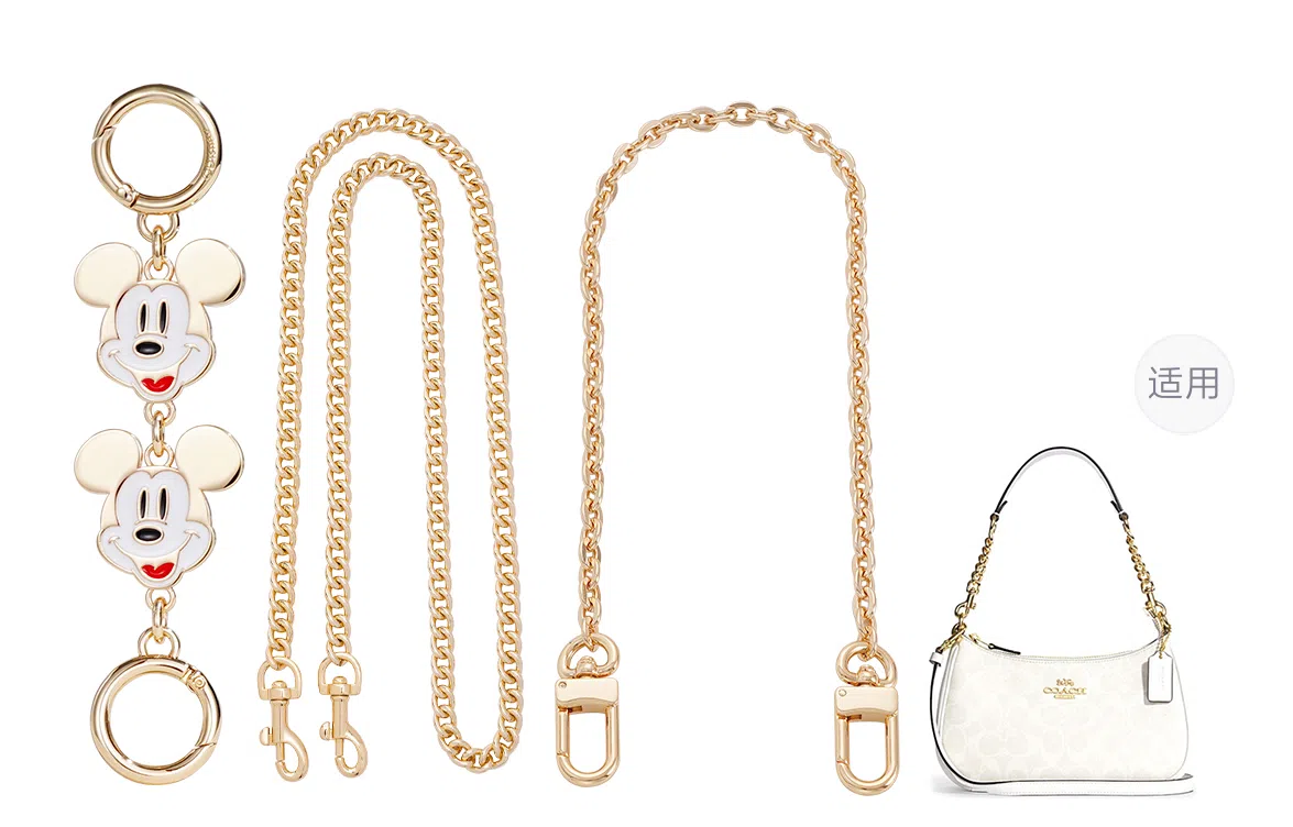 Disney COACH Teri 25