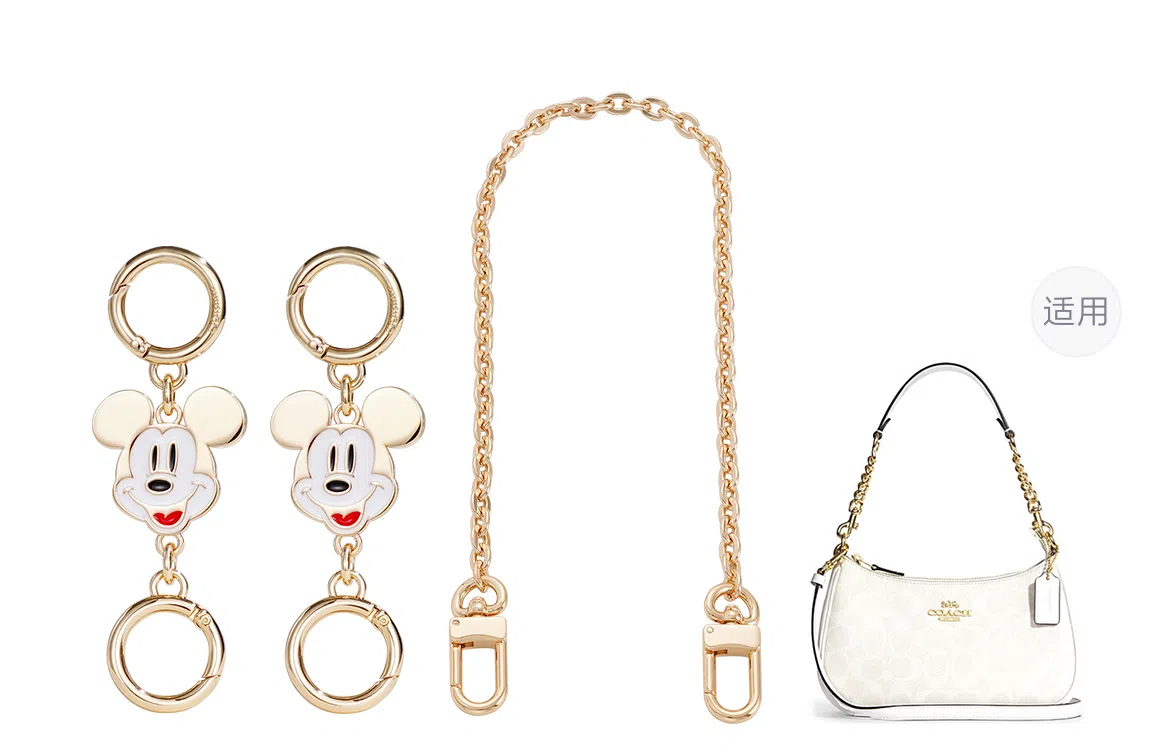 Disney COACH Teri 25