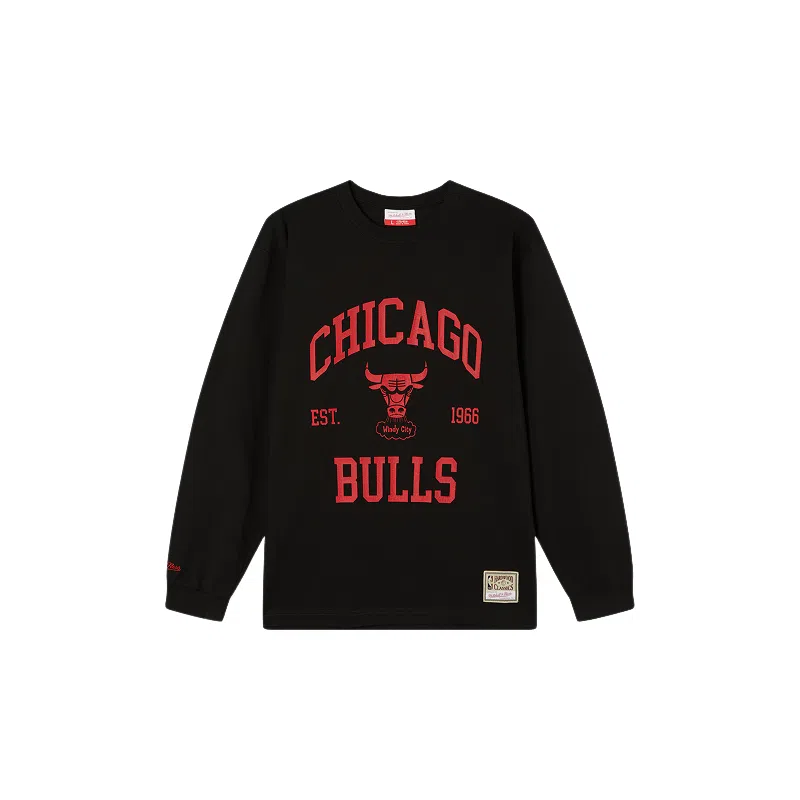 Mitchell Ness x NBA NEW VINTAGE HO25 T