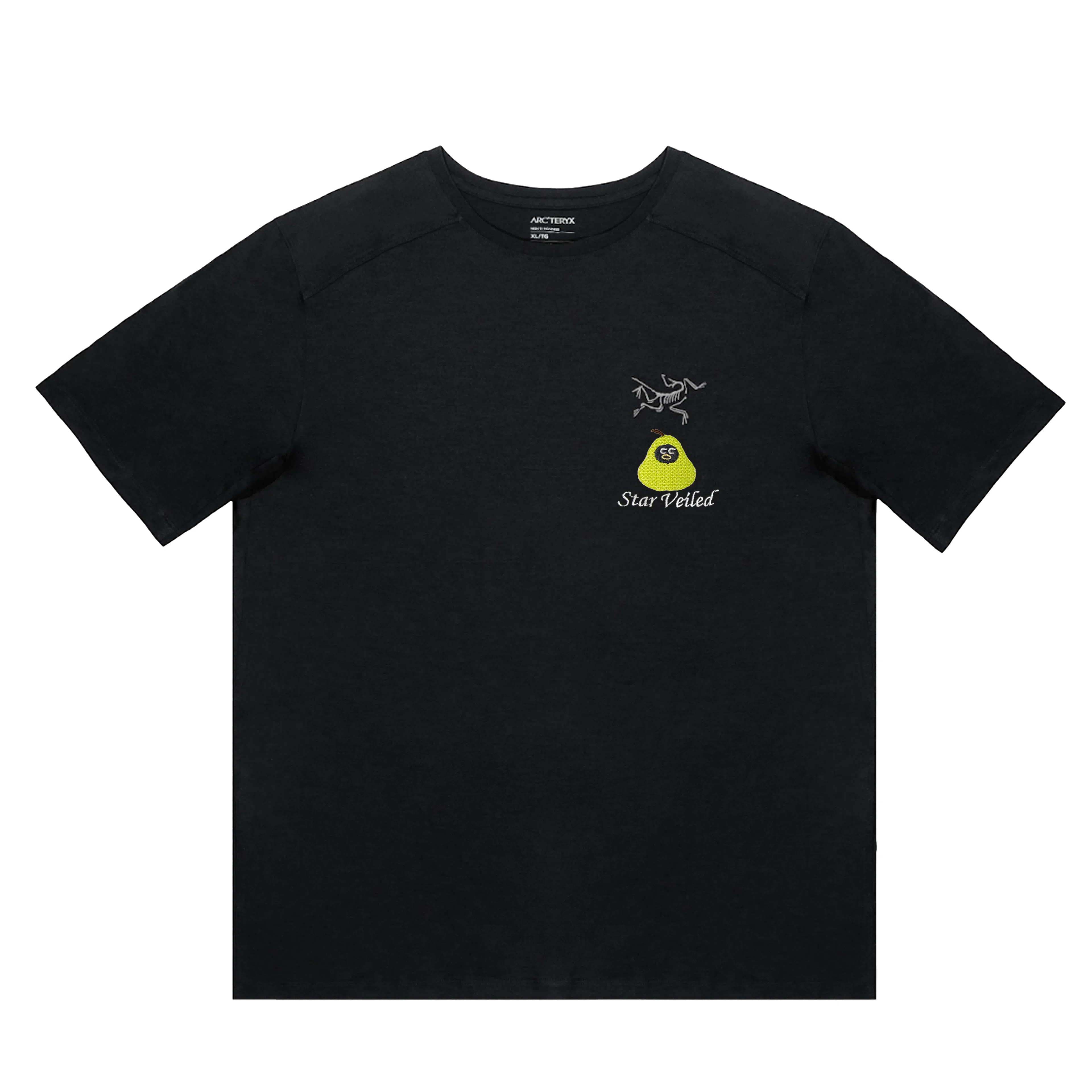 Arcteryx KRAGG logoT