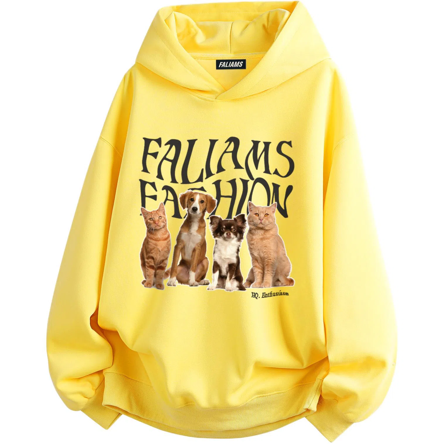 FALIAMS logo