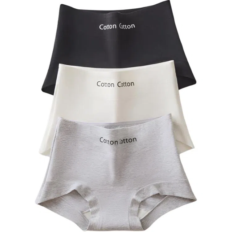 PERFECT LINE SHOW 10A