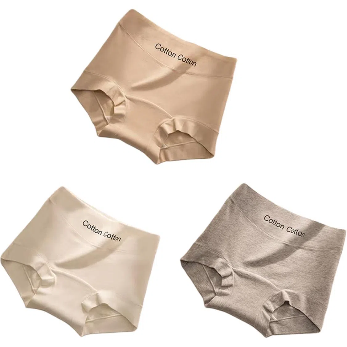 PERFECT LINE SHOW 10A