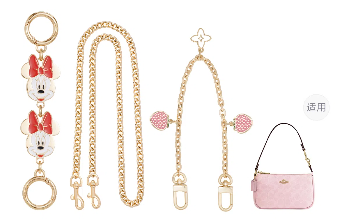 Disney COACH Nolita 19