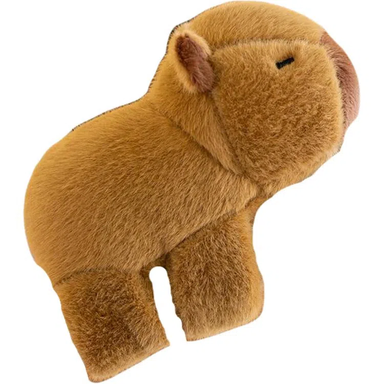 WADORN 15cm