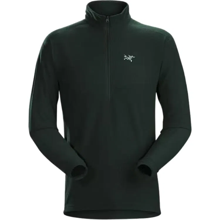 Arcteryx DELTA LT logo