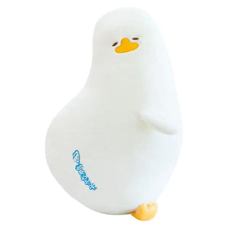 Brangdy 60cm80cm100cm