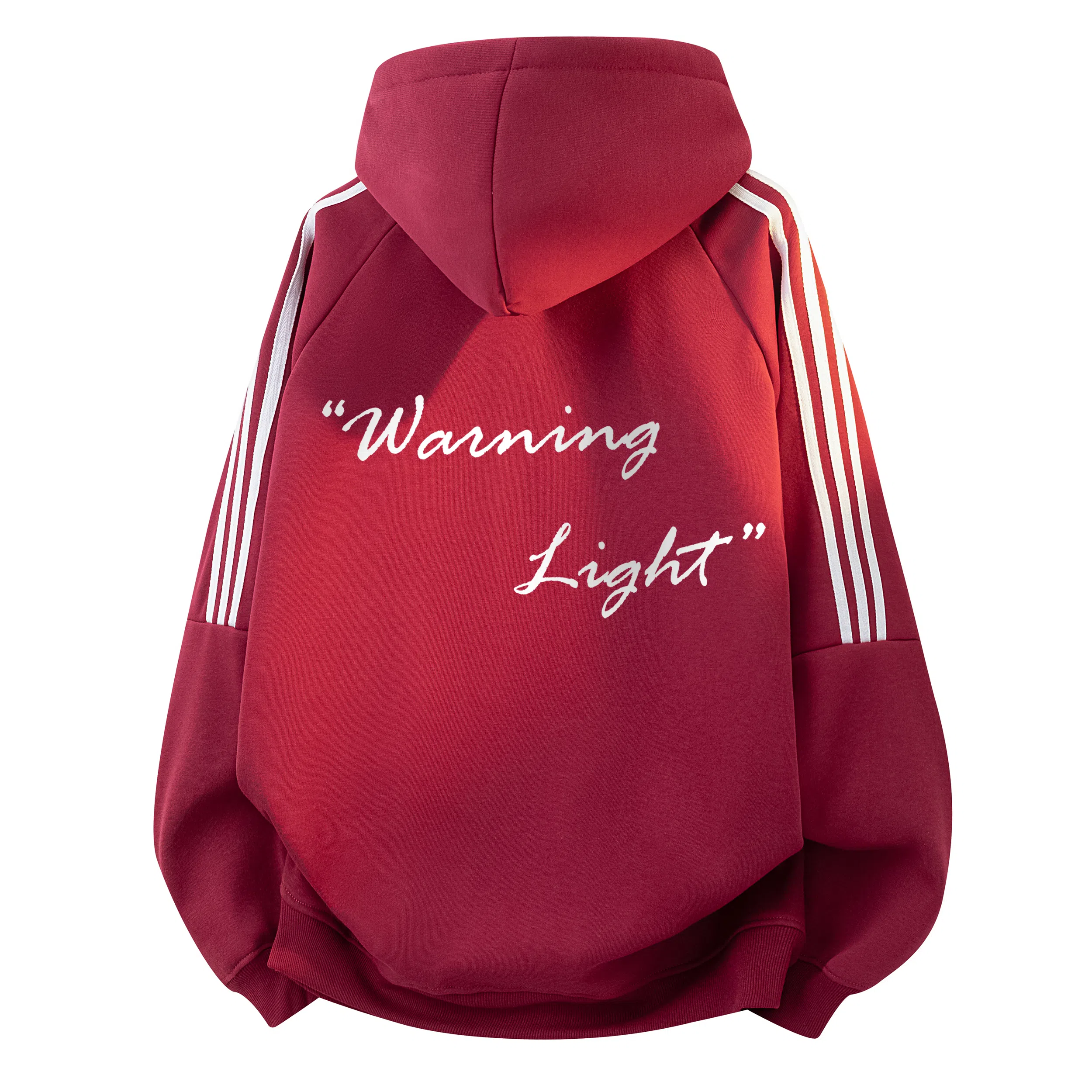 WARNING LIGHT 480cleanfitins