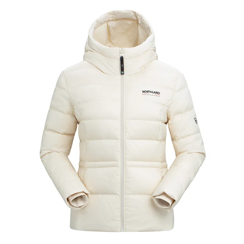 NORTHLAND PROFESSIONAL