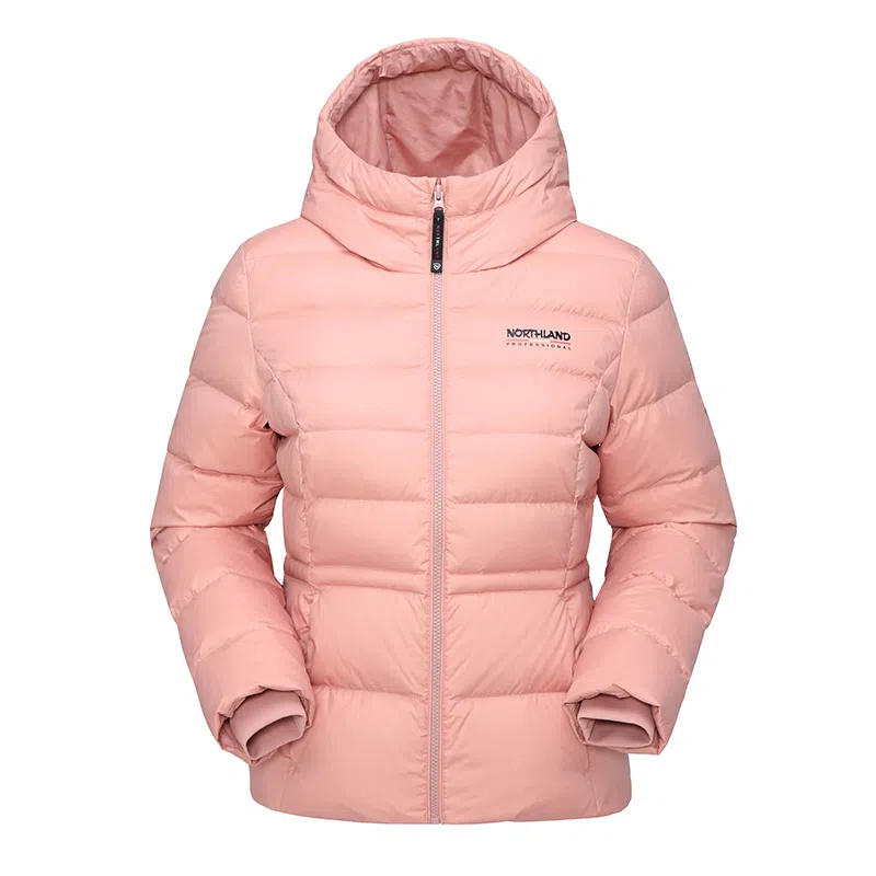 NORTHLAND PROFESSIONAL