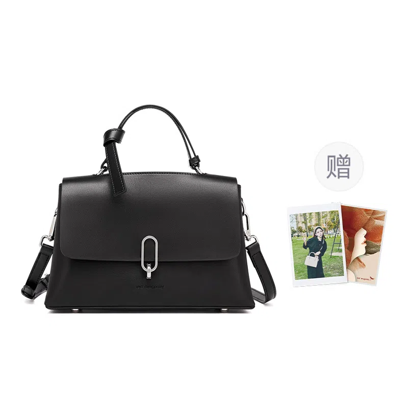 红蜻蜓 高级感小众时尚潮流品牌高颜值 牛皮 单肩斜挎手提包 常规 女款 黑色/咖啡色