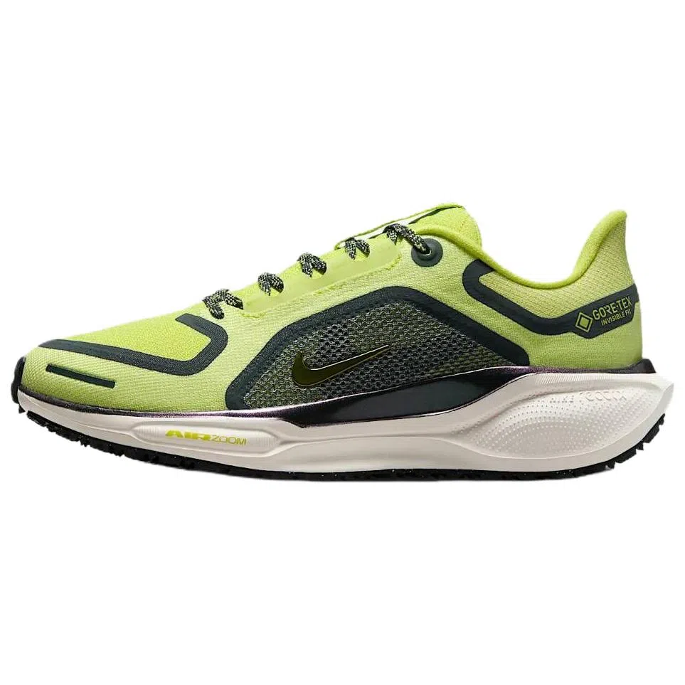 Nike Pegasus 41 GORE-TEX
