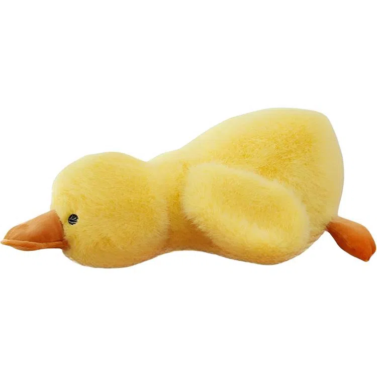 CANEXT 30cm50cm65cm100cm