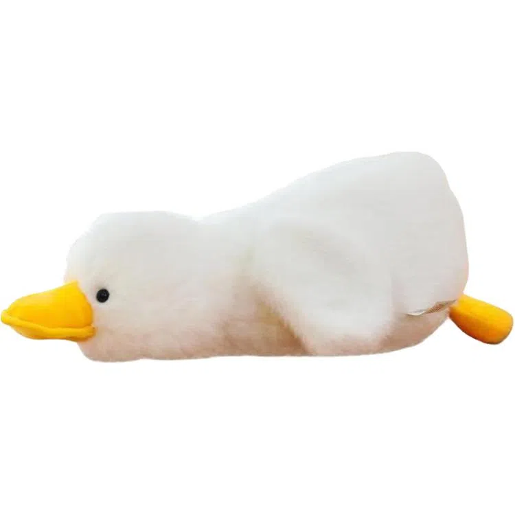 CANEXT 30cm50cm65cm100cm