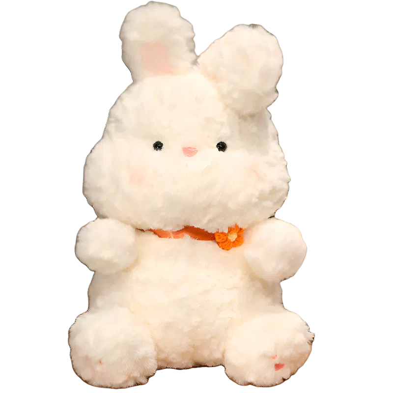 QULEBEAR 28cm45cm55cm