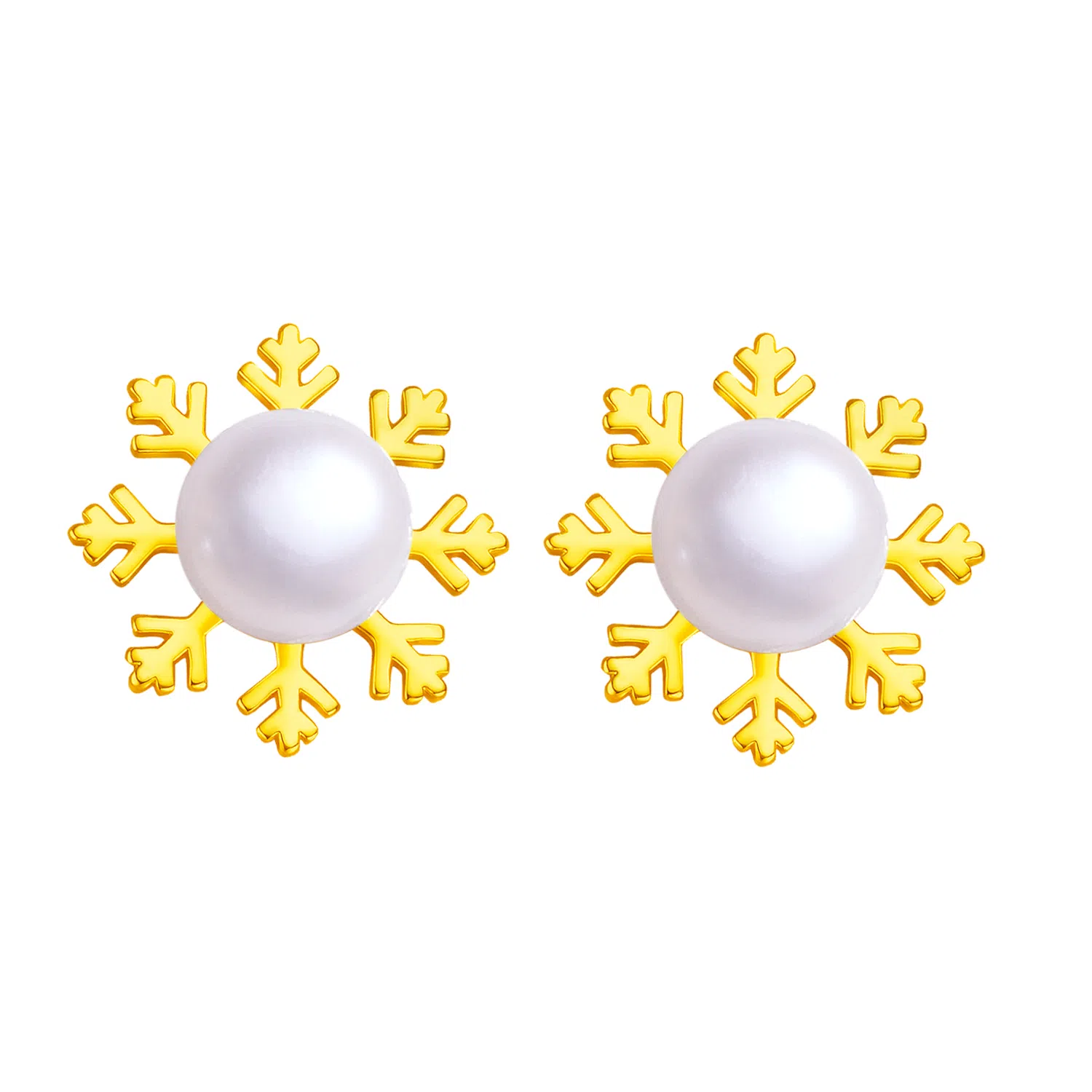 CHEESEFAN 925