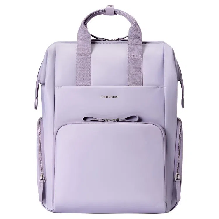 SAMSONITE ASH