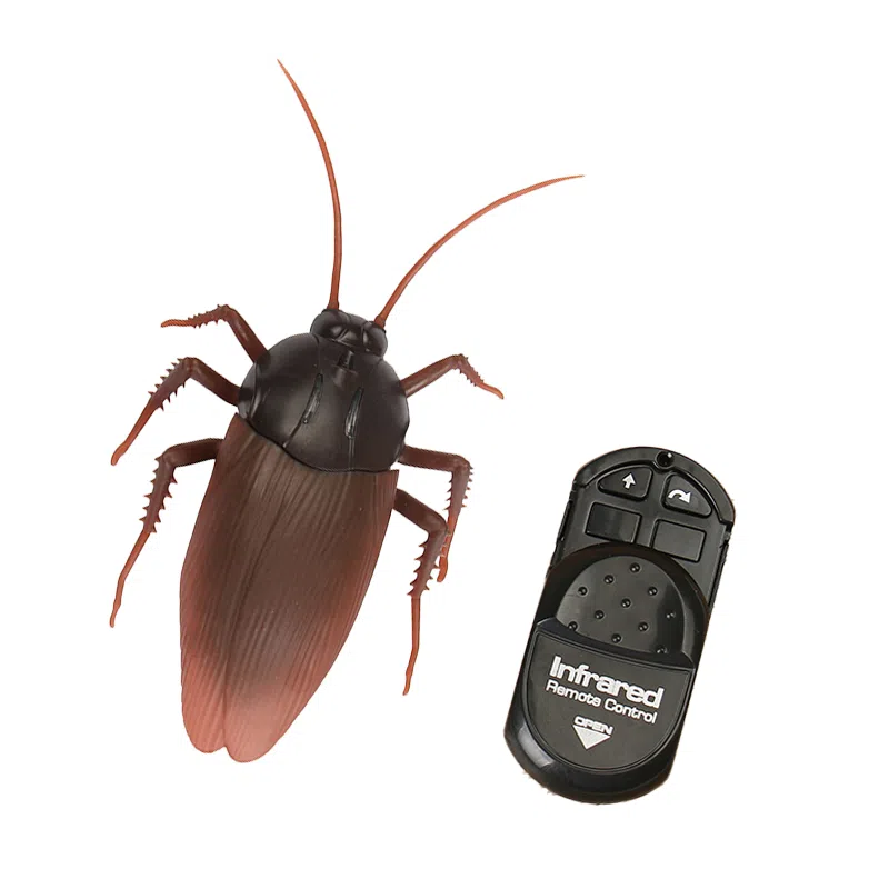 馨枕居 会动的蟑螂 有趣奇特 创意整蛊玩具